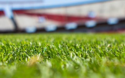 Mundial JEVNET: A un paso de la final