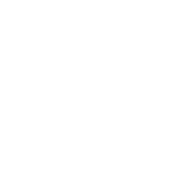 google-partner