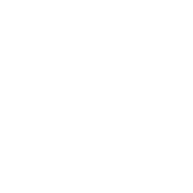 meta